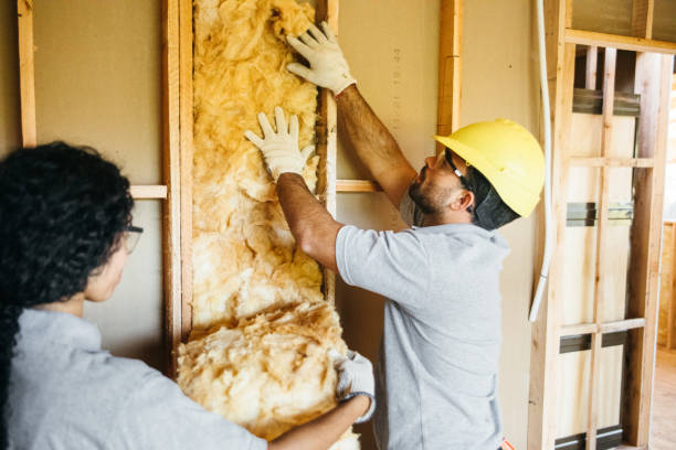 Types of Insulation We Offer in American Canyon, CA